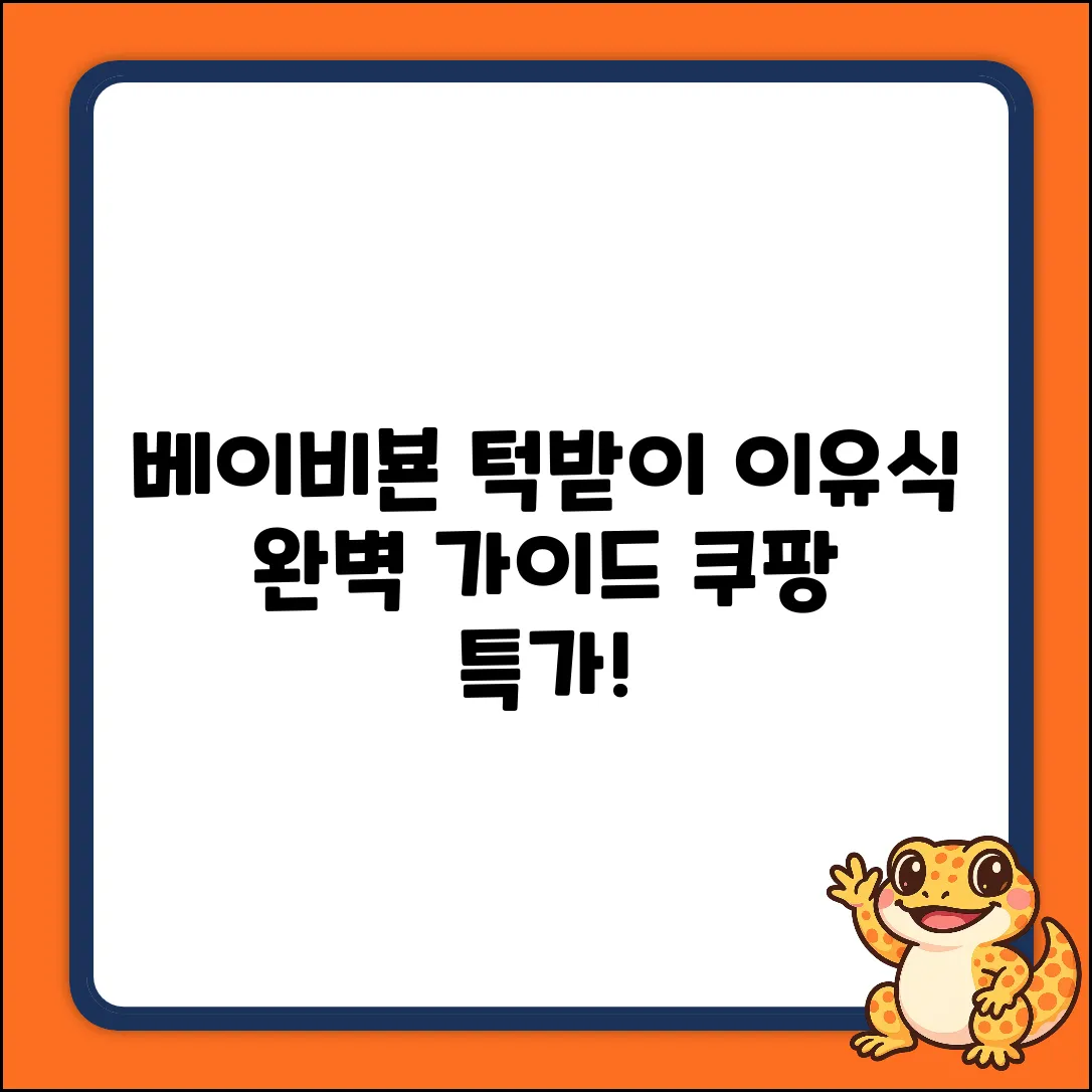 베이비뵨 턱받이 세트: 이유식 완벽 가이드