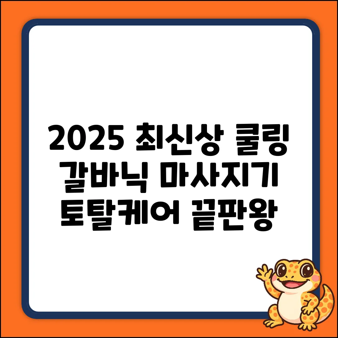 2025년형 갈바닉 마사지기 VGM12000: 쿨링 토탈케어