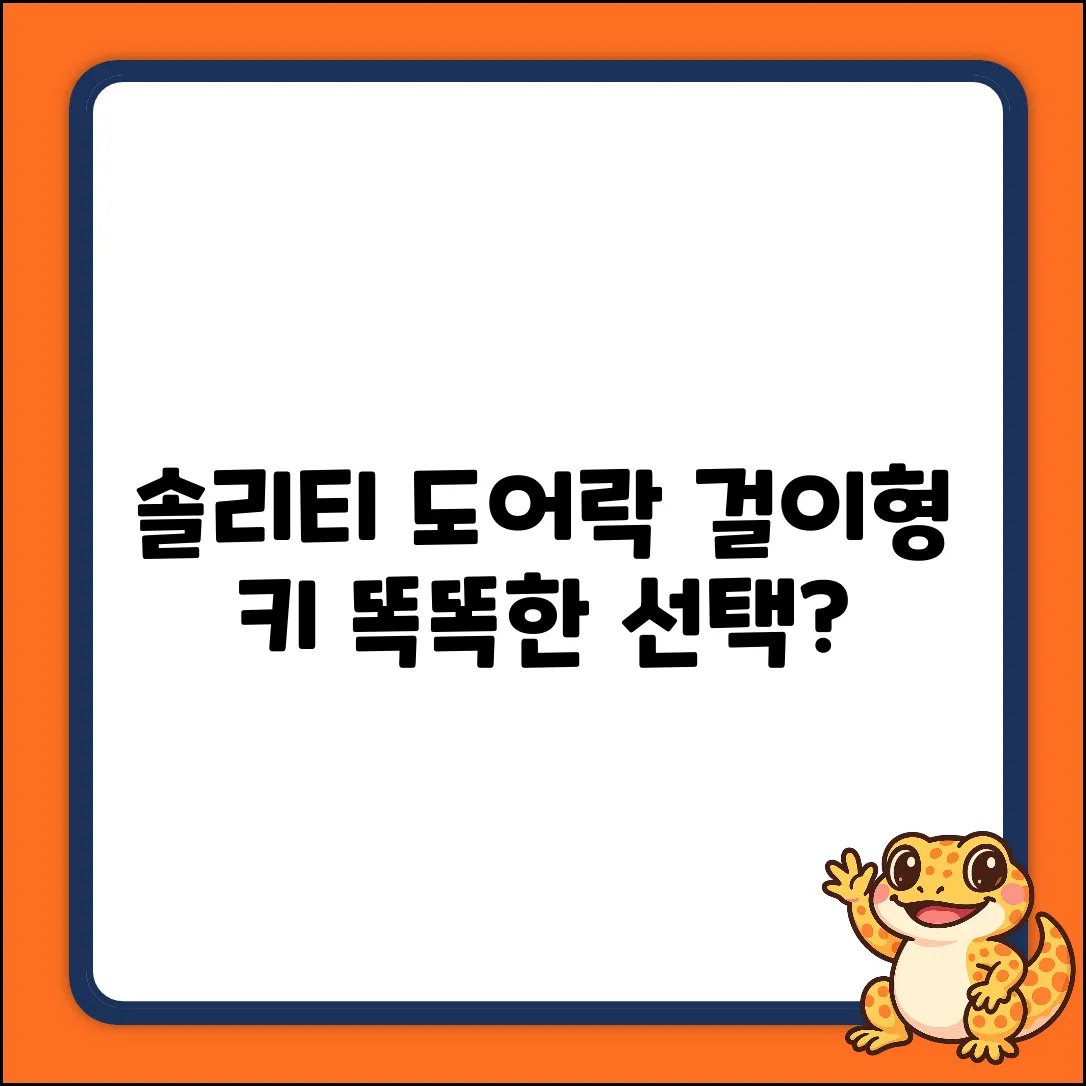 솔리티 도어락 걸이형키 1개! 똑똑한 선택?