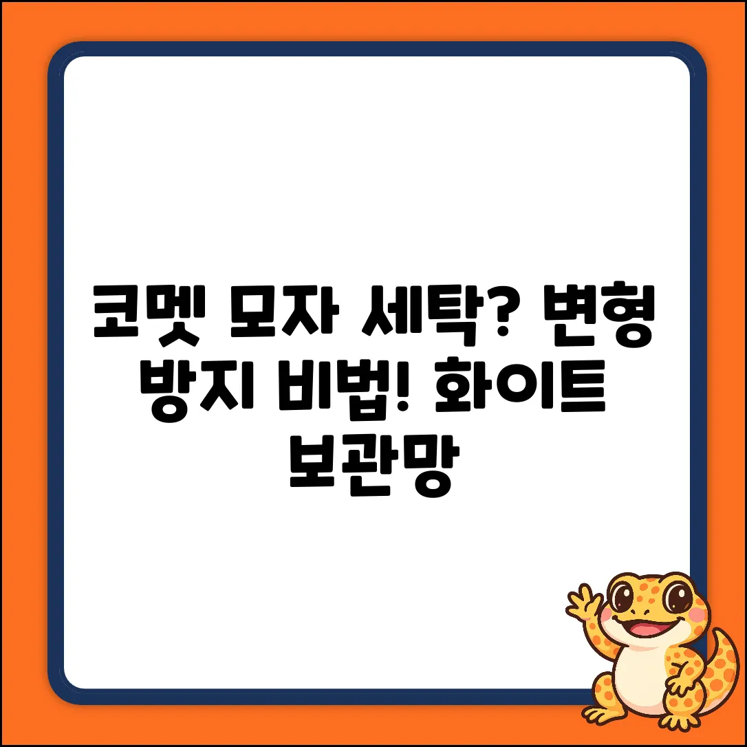 코멧 홈 변형방지 모자 세탁, 화이트 보관망이 답일까요?