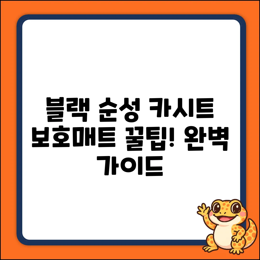 블랙 순성 카시트 보호매트 1개: 완벽 선택 가이드