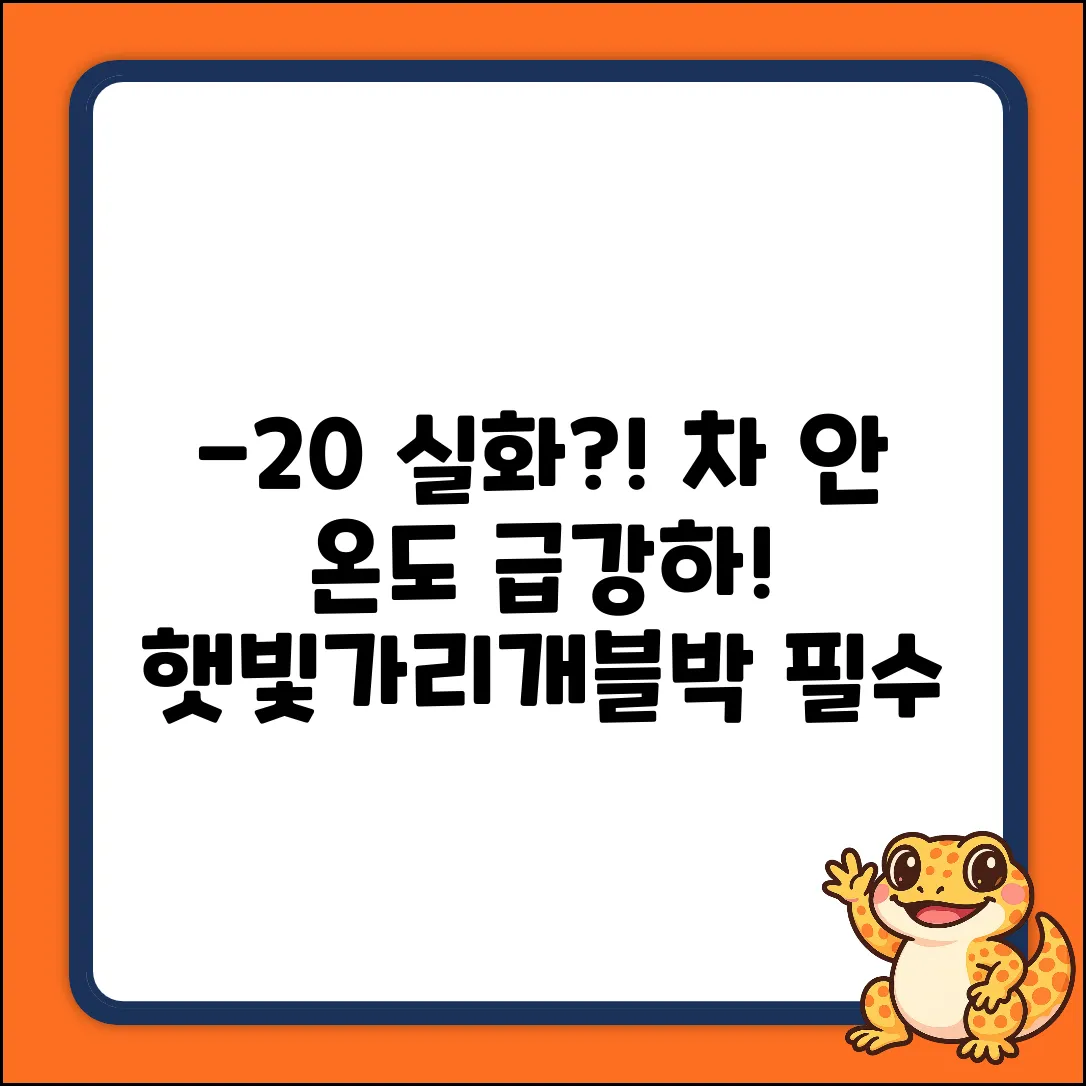 탐사차 실내 온도 -20℃! 햇빛가리개+블박녹화