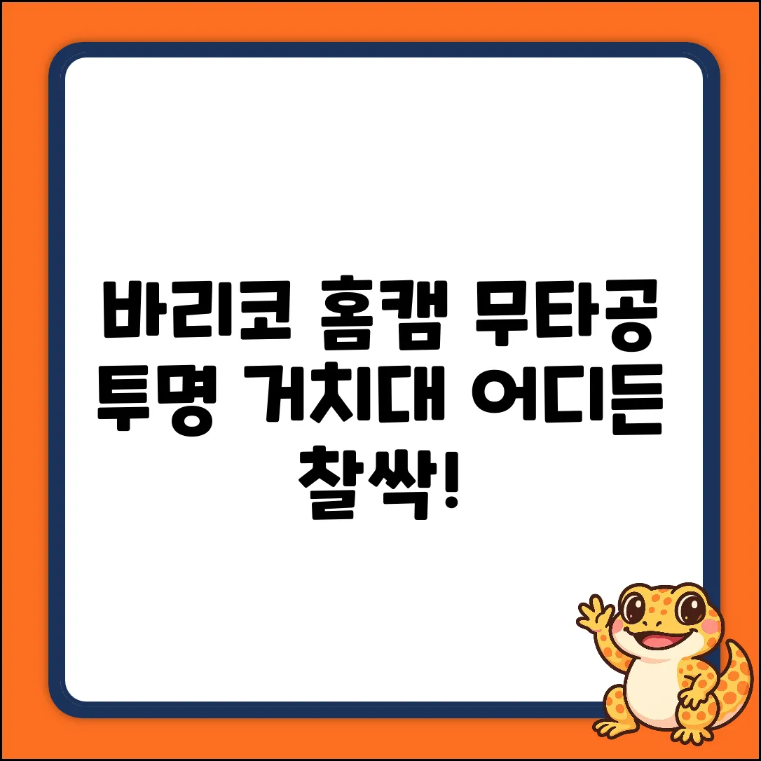 바리코 무타공 투명 홈캠 거치대 1개, 어디에 달까?