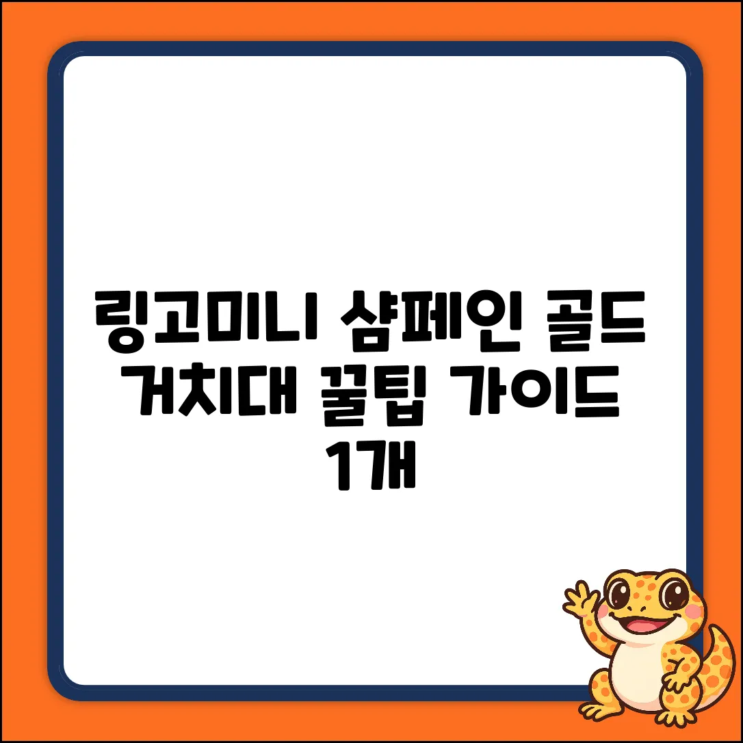 ✨링고미니 샴페인 골드 거치대 완벽 가이드 (1개)✨