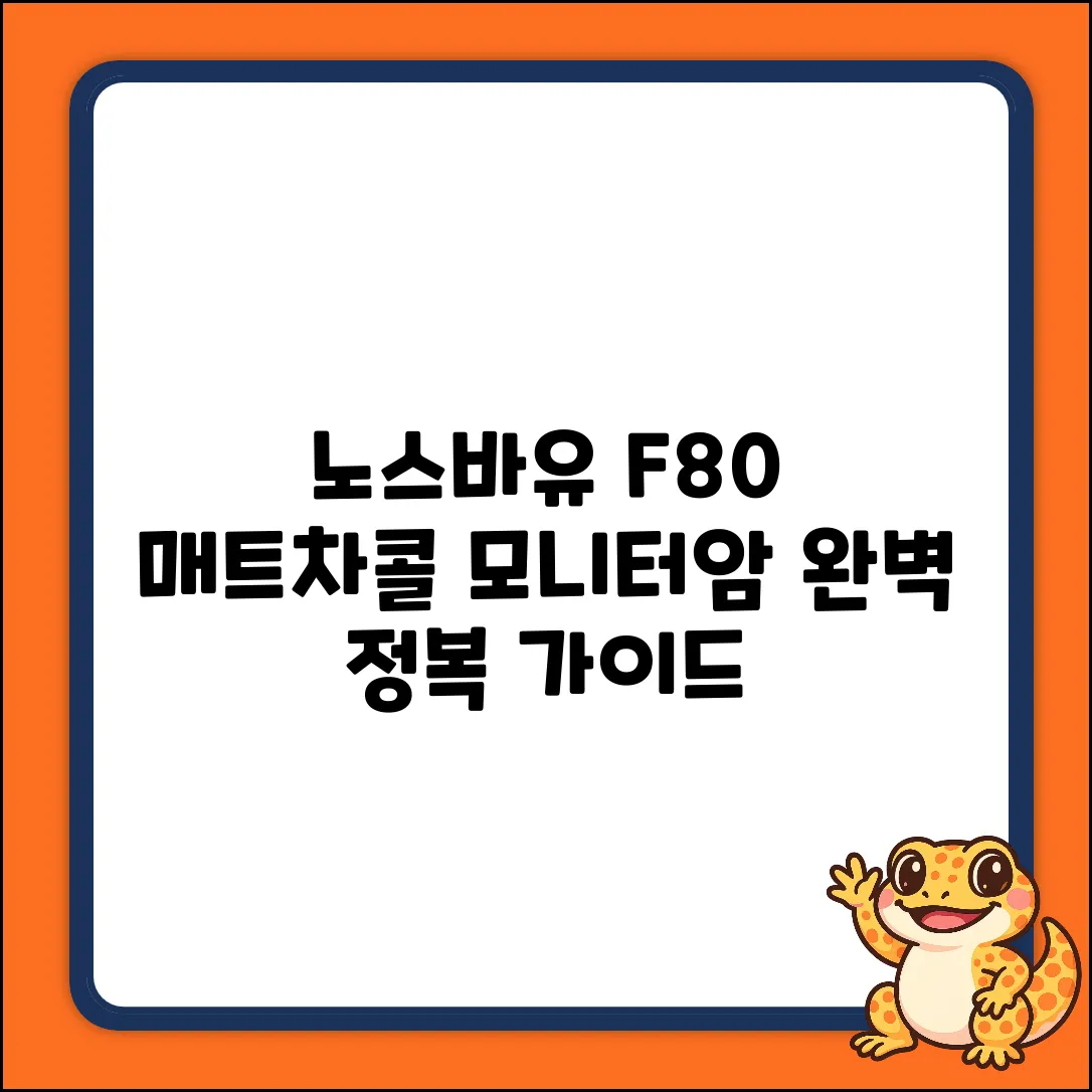 노스바유 F80 (매트차콜) 싱글 모니터암: 완벽 정복 가이드