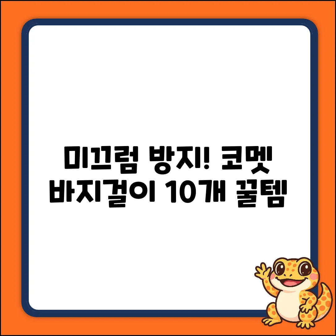 미끄럼 걱정 끝! 코멧 홈 논슬립 바지걸이 (그레이 10개) 꿀템!