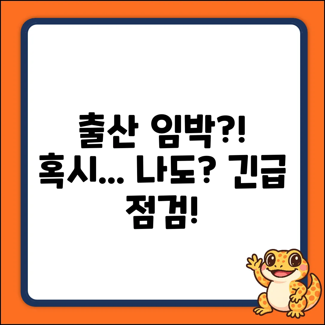 출산 임박 증상, 혹시 나도?