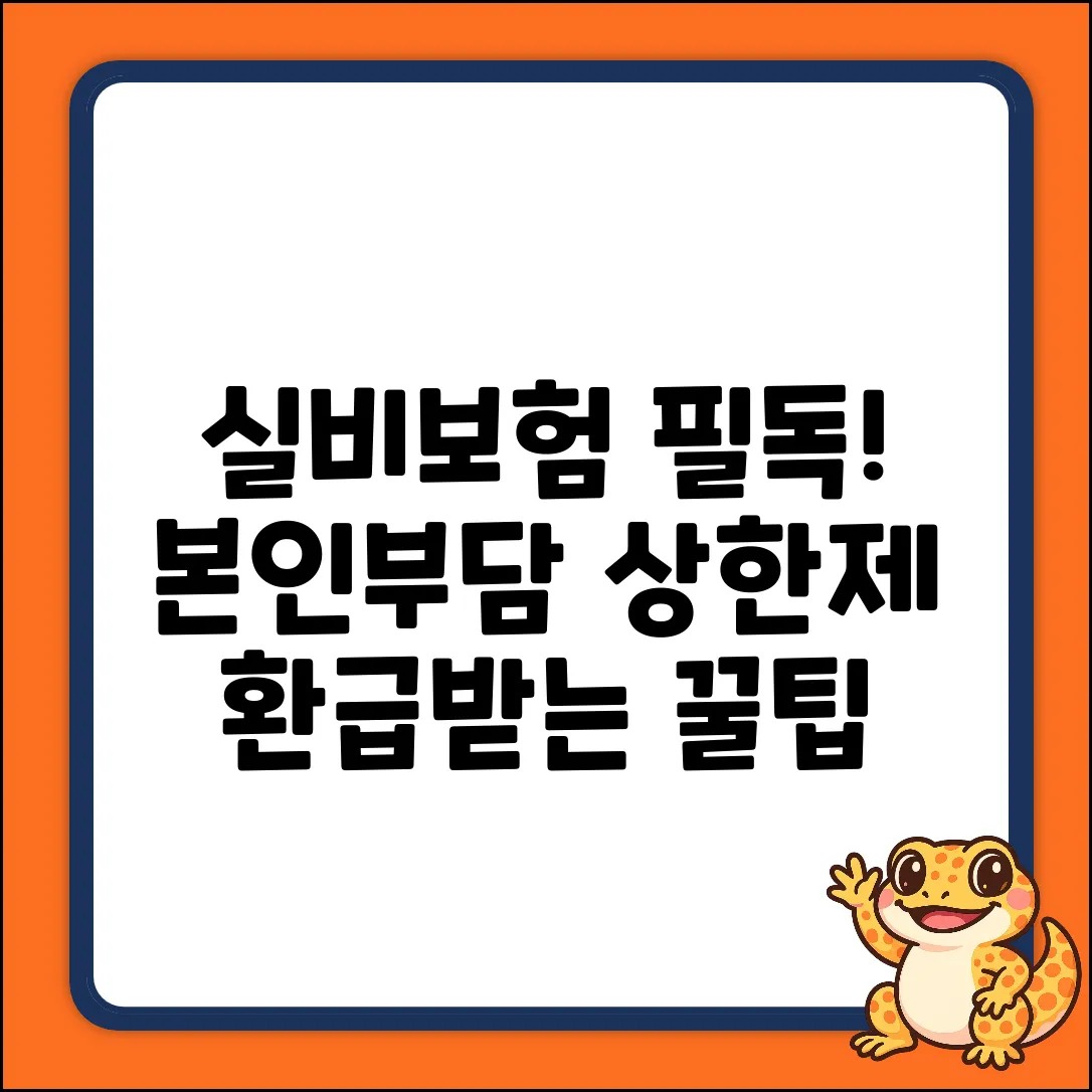 실비보험 청구 후 본인부담상한제, 완벽 가이드!