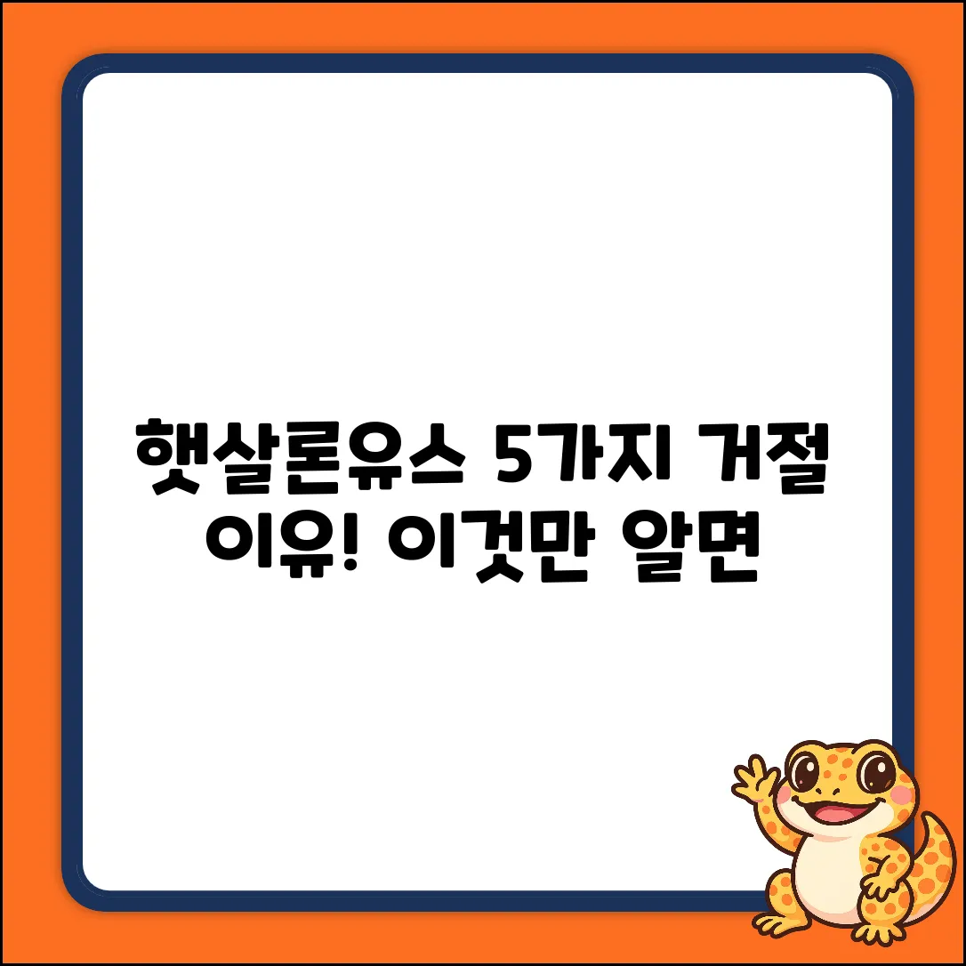 햇살론유스 거절, 5가지 핵심 사유는?