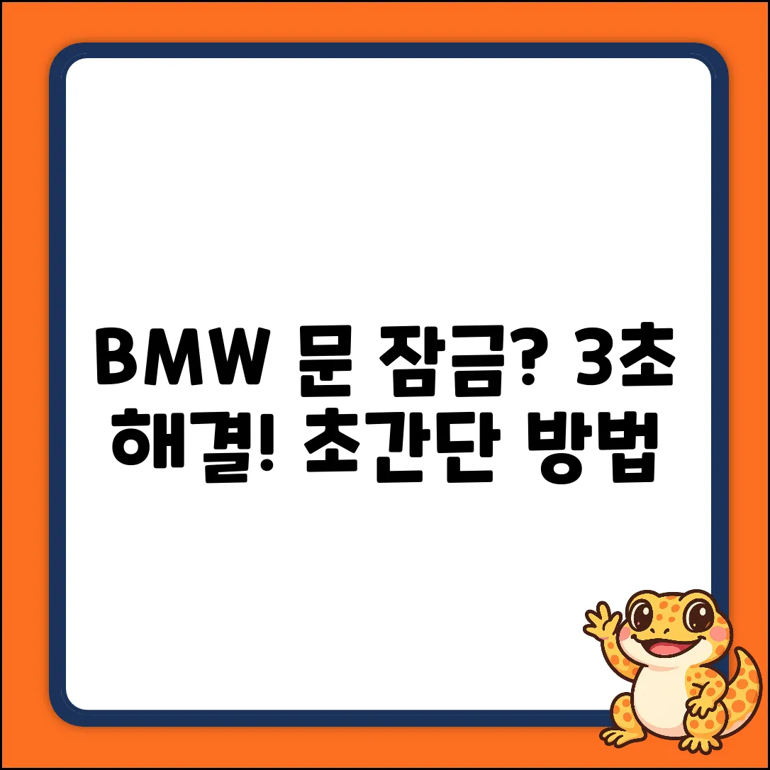 BMW 자동차, 문 잠그는 법 궁금하세요?