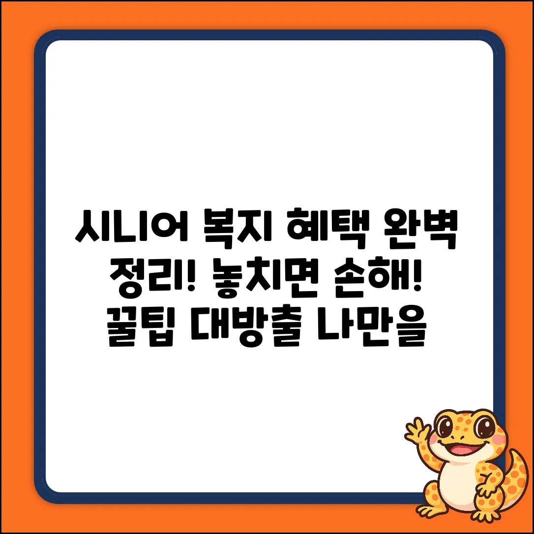 시니어 복지카드 완벽 가이드: 혜택 마스터!