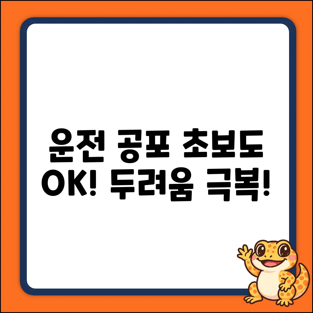 운전 두려움 없애는 법? 초보도 OK!