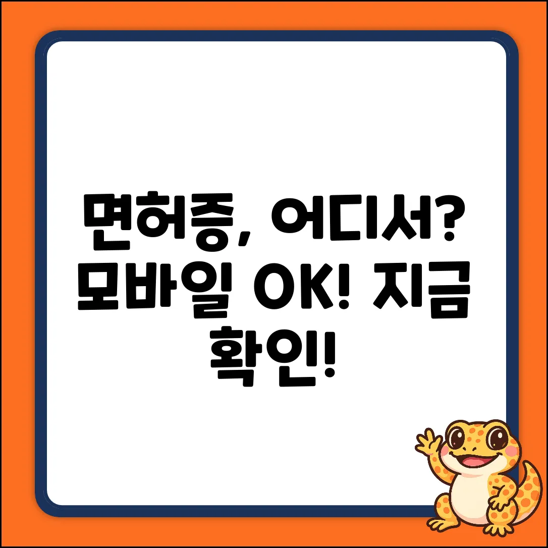 모바일 운전면허증, 어디서 쓸 수 있나요?