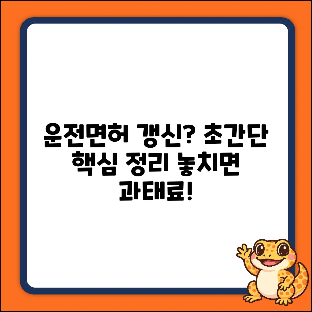 운전면허 갱신 뜻 완벽 가이드: 초간단 정리!