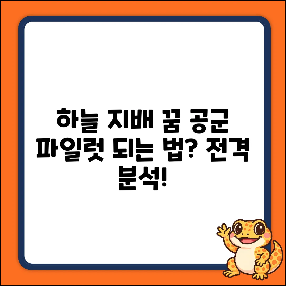 하늘을 지배하는 꿈! 공군 파일럿 되는 법?
