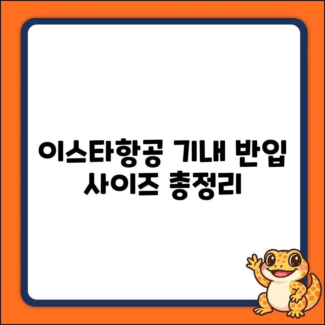 이스타항공 기내 반입 사이즈 완벽 가이드