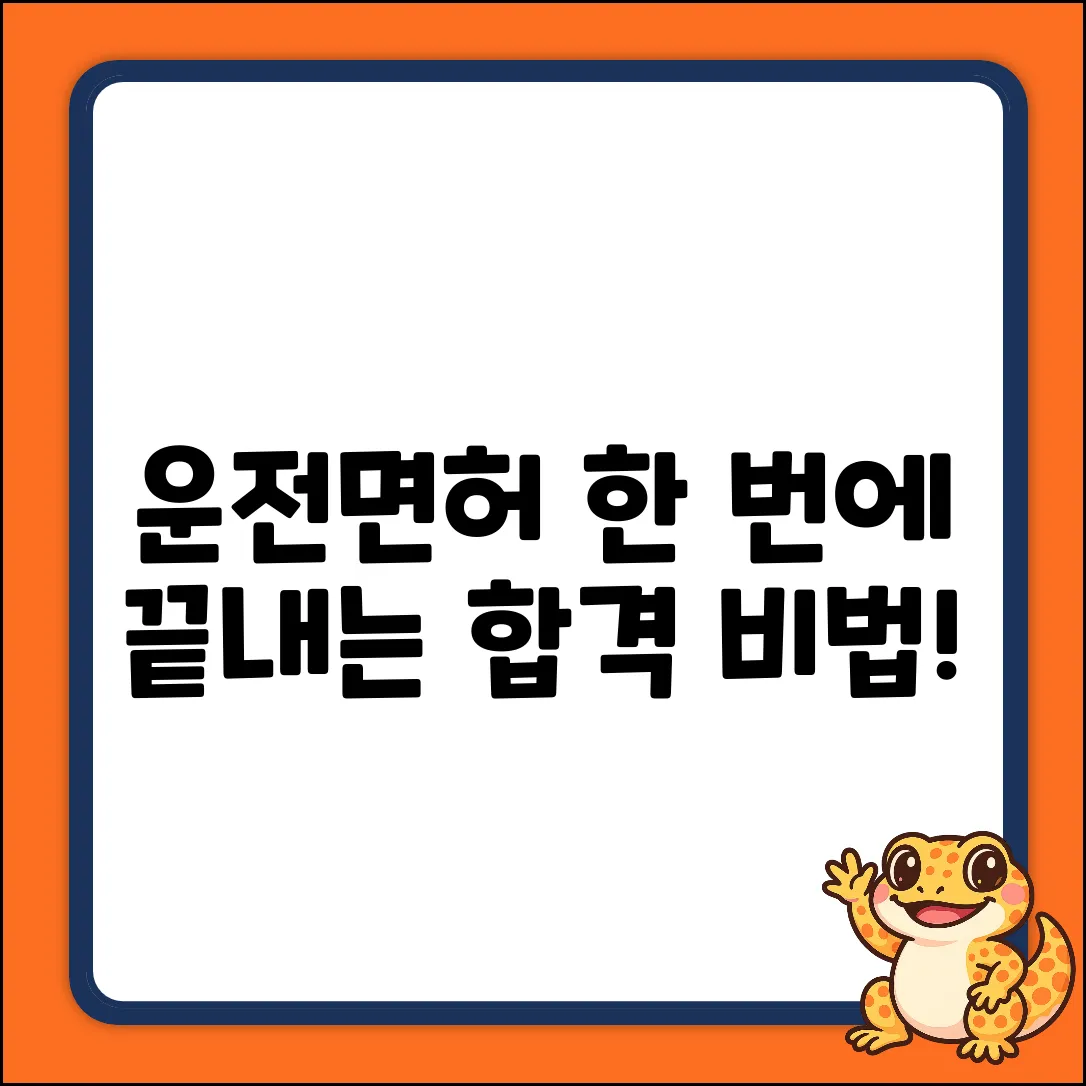 운전면허 따는 절차 완벽 가이드🔑