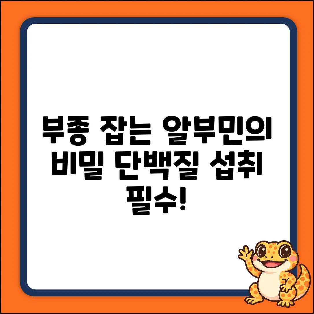 단백질 섭취, 부종 예방될까? 알부민의 비밀!