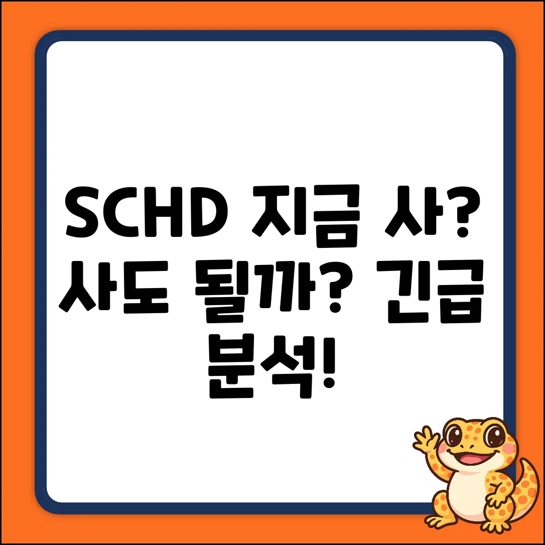 SCHD 주식, 지금 사도 괜찮을까?