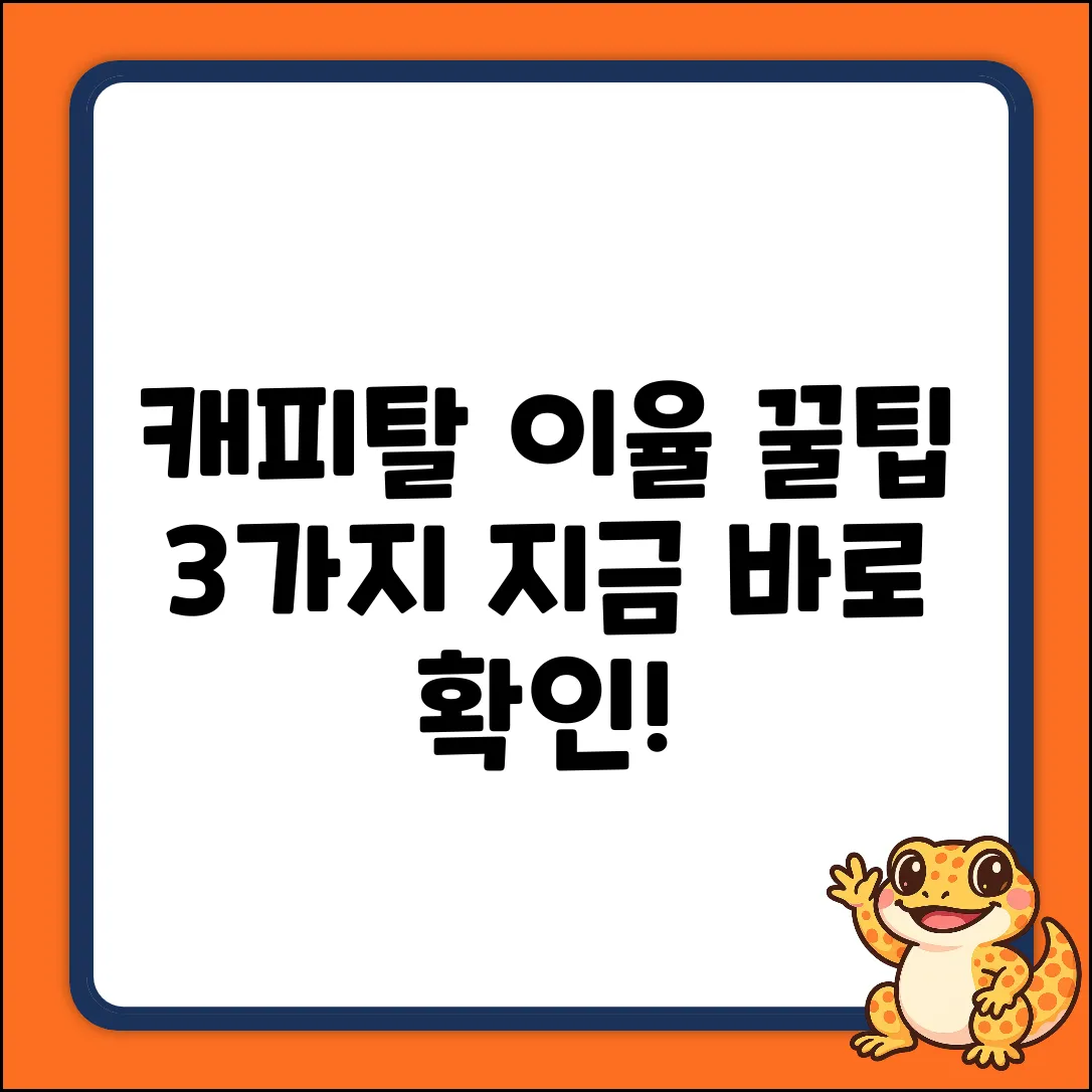 캐피탈 이율, 꿀팁 3가지!