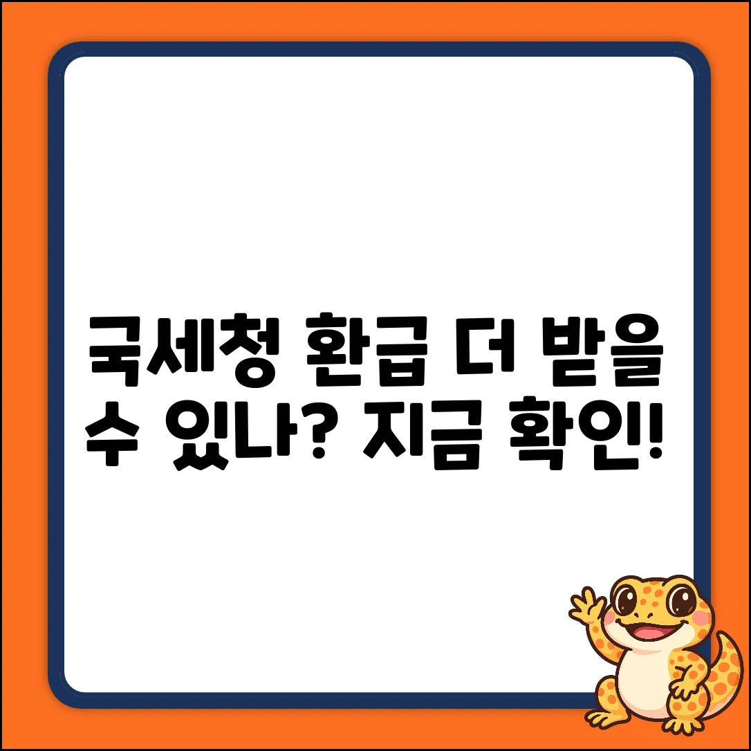 국세청 환급, 더 받을 수 있을까요?