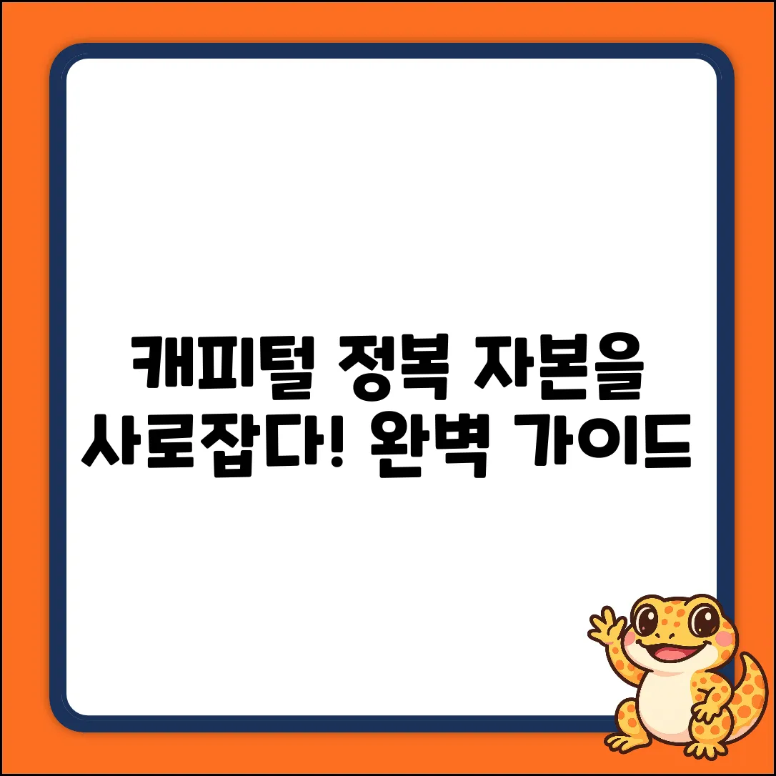 캐피털 완벽 가이드: 자본을 사로잡다