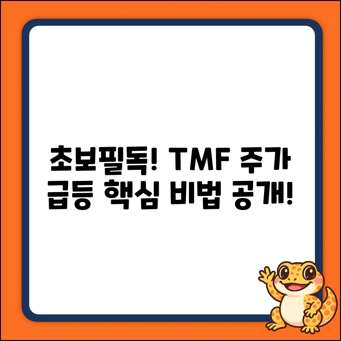 초보도 쉽게! TMF 주가 투자 비법