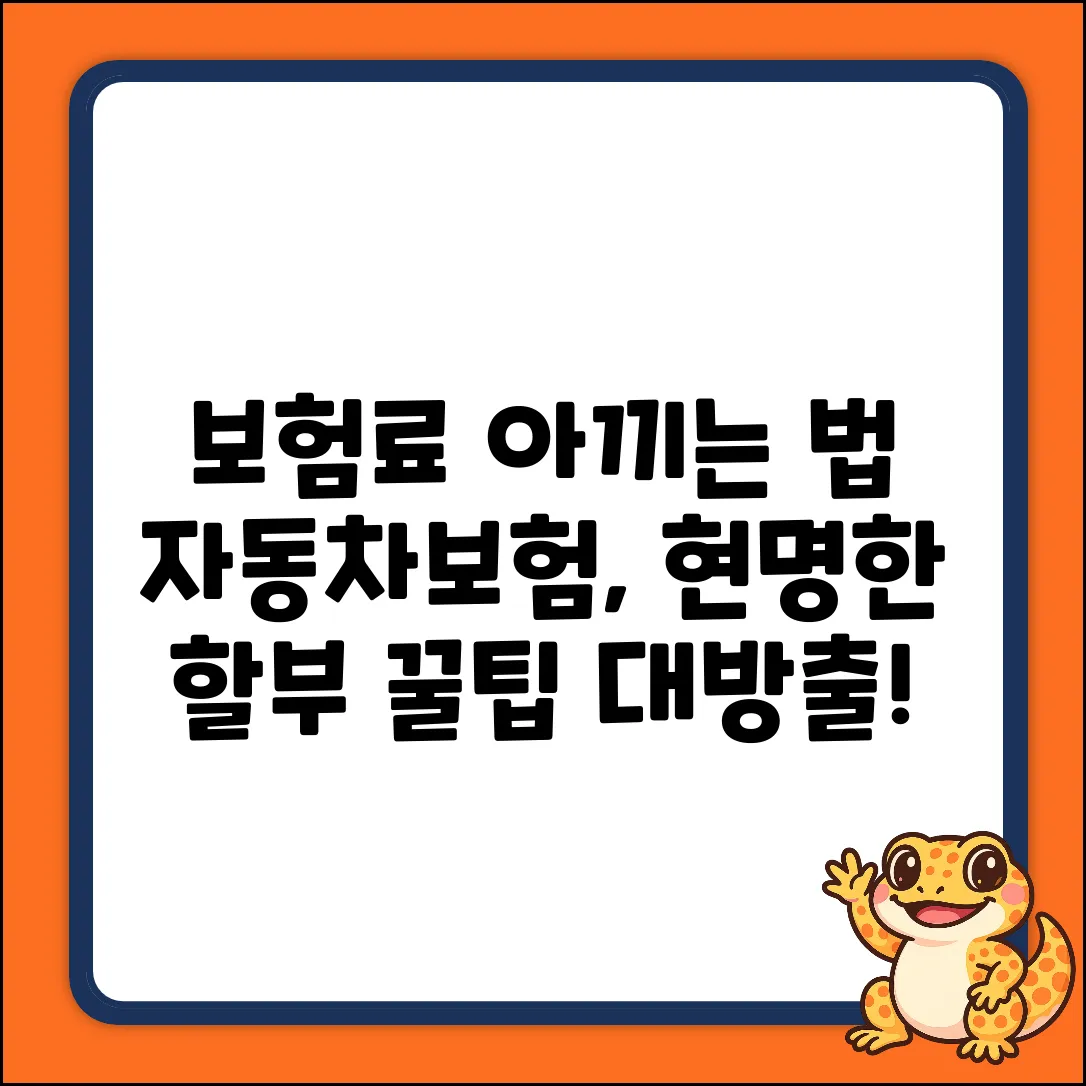 자동차보험 할부, 가장 현명한 방법은?