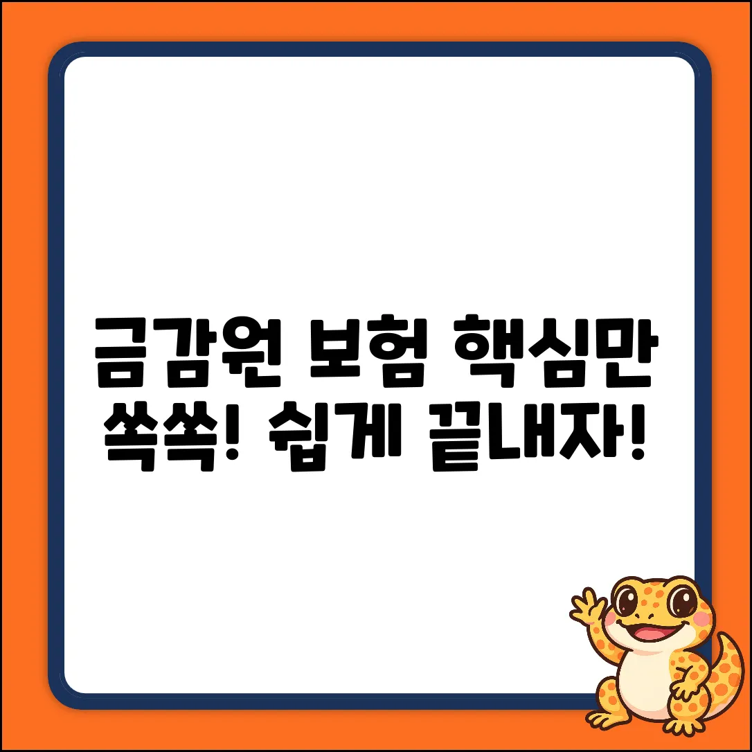 금감원 보험: 누구나 쉽게, 핵심만 쏙!