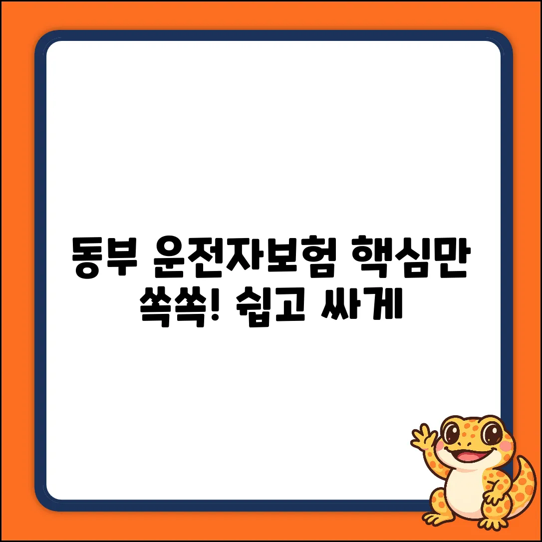 동부 운전자보험, 누구나 쉽게! 핵심만 쏙쏙