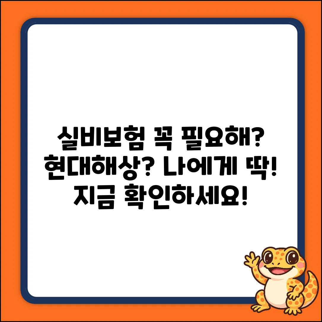 현대해상실비보험, 나에게 꼭 필요할까?