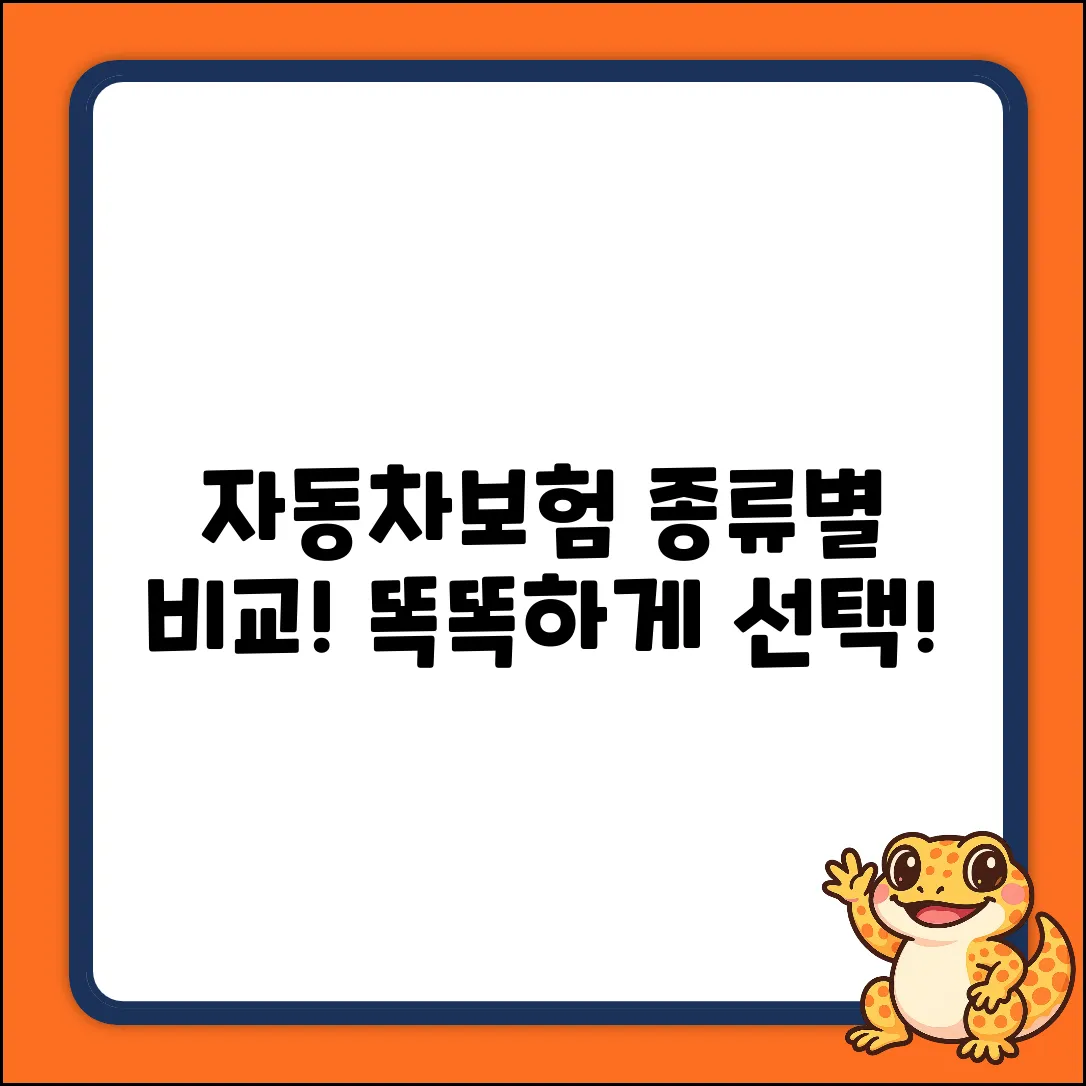 똑똑한 선택! 자동차보험 종류 한눈에 비교