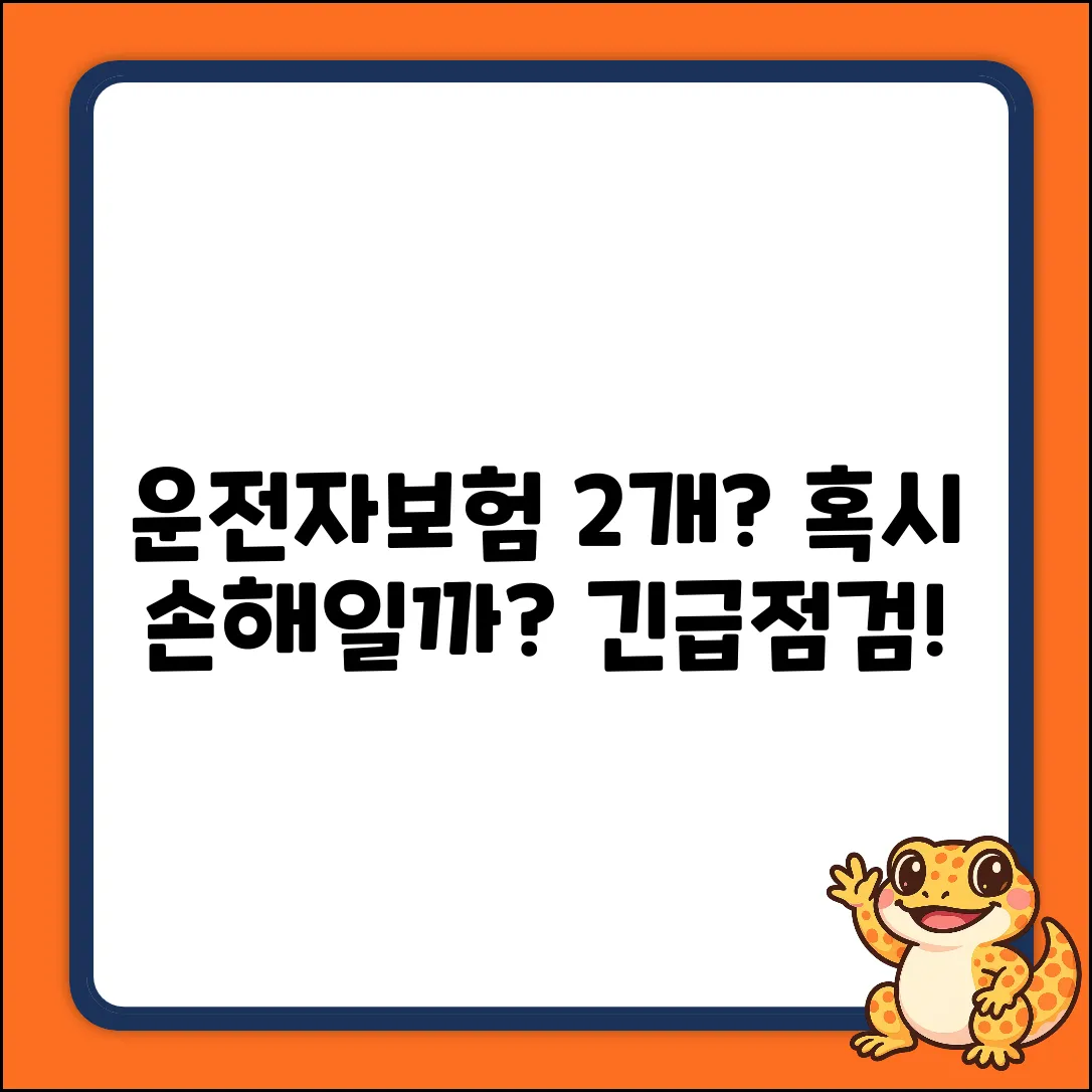 운전자보험 두개, 혹시 손해일까요?